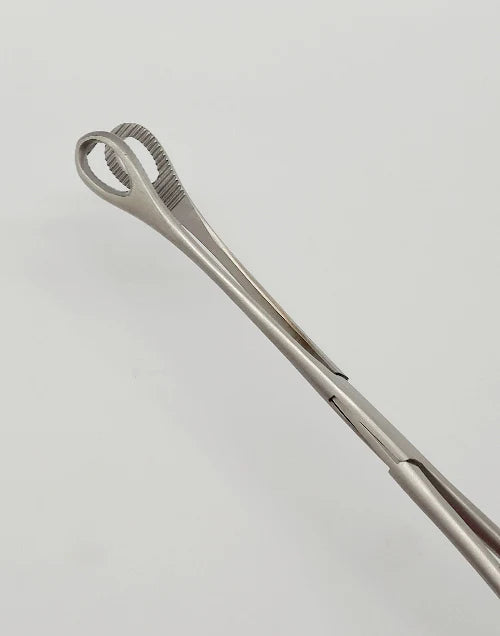 Forceps Sponge 9.5"  Straight, Serrated(1/EA)