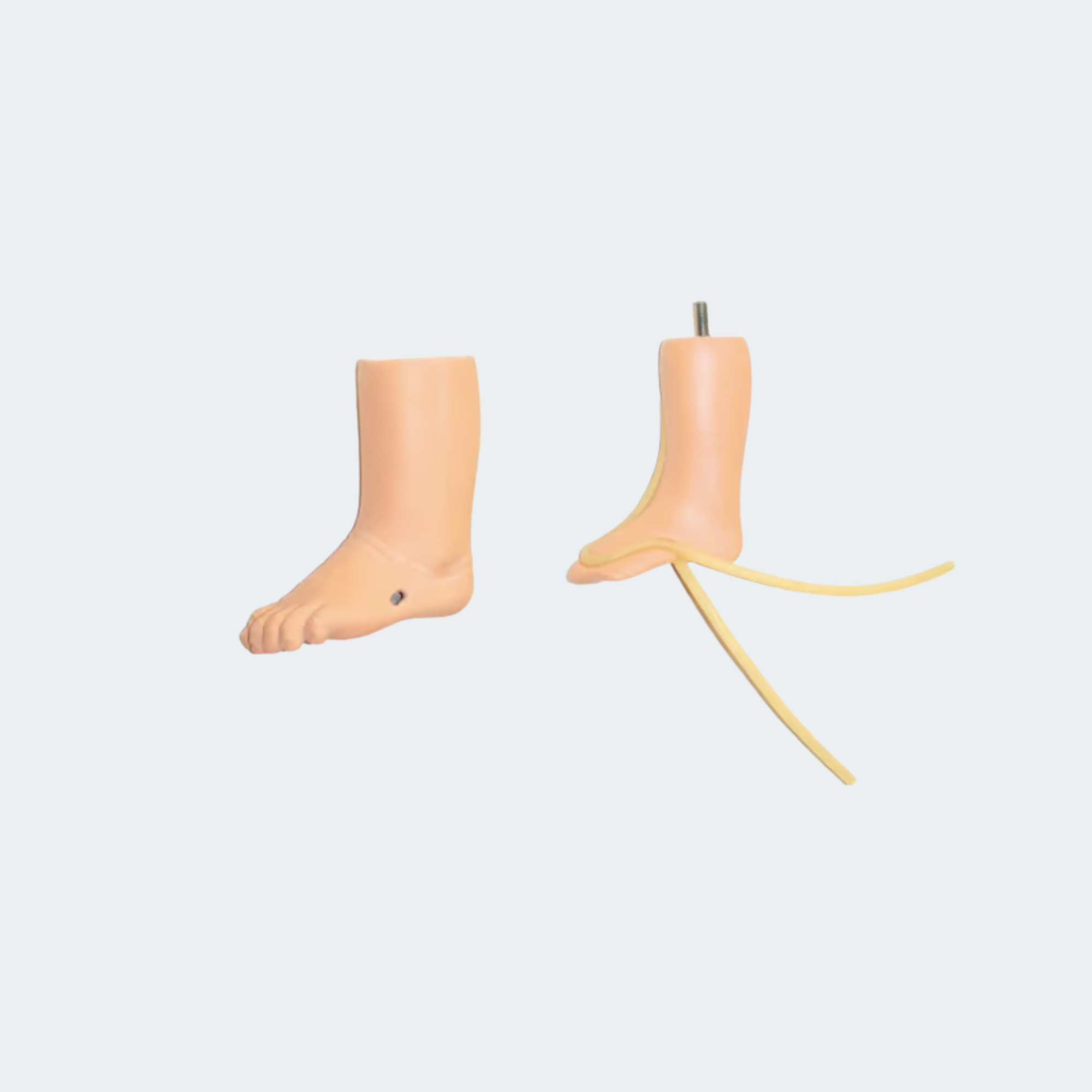 365-00101 Infant IV Training Leg