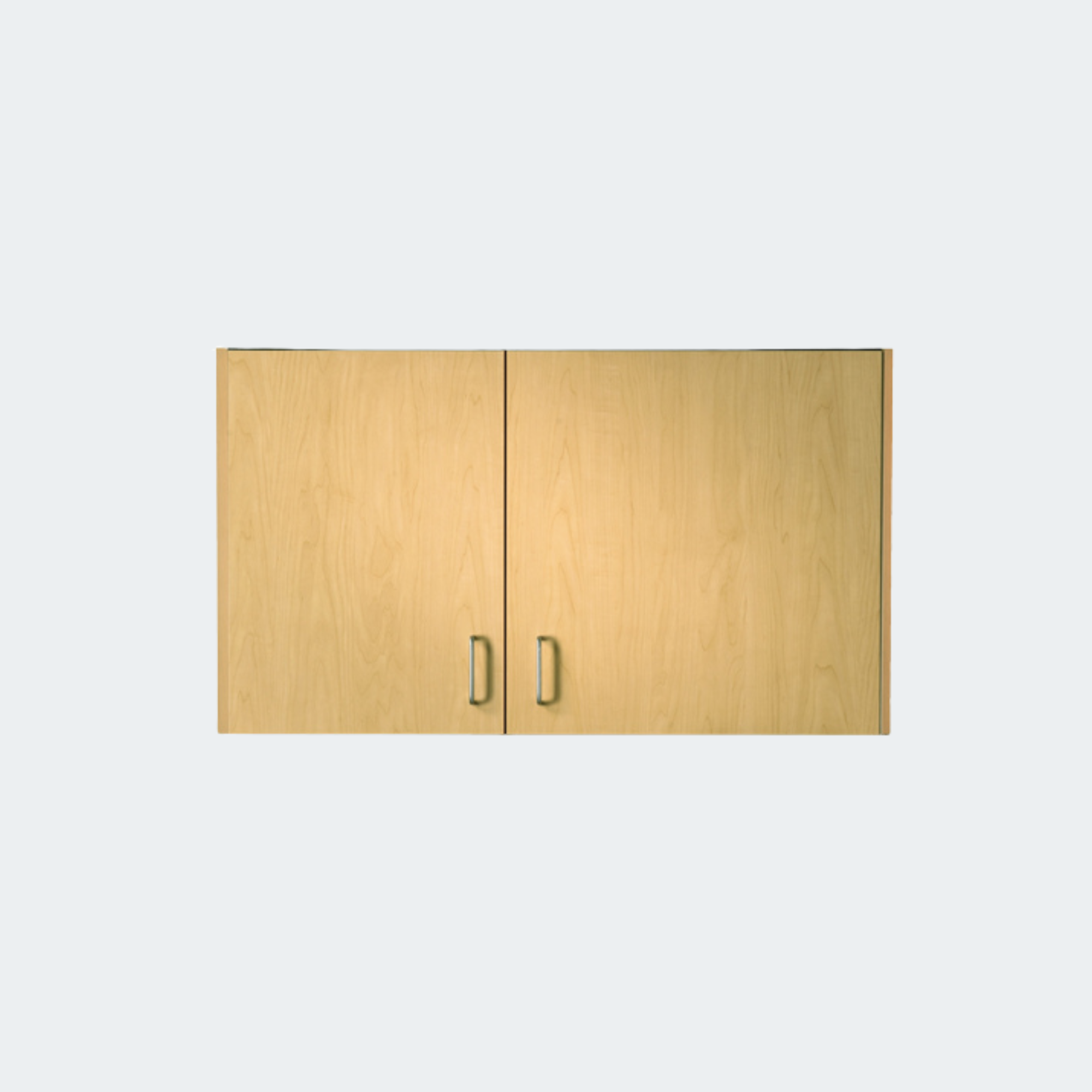 42" Wall Cabinet with 2 Doors