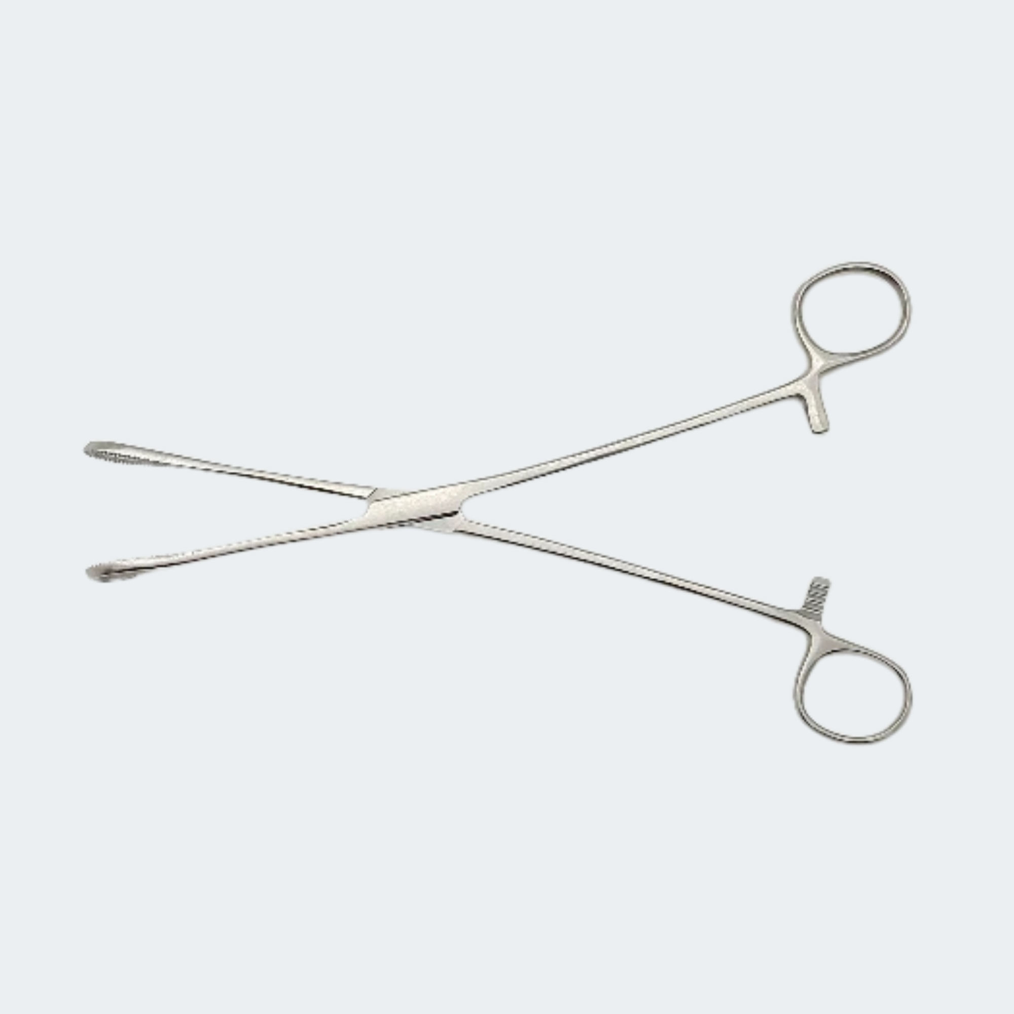 Forceps Sponge 9.5"  Straight, Serrated(1/EA)