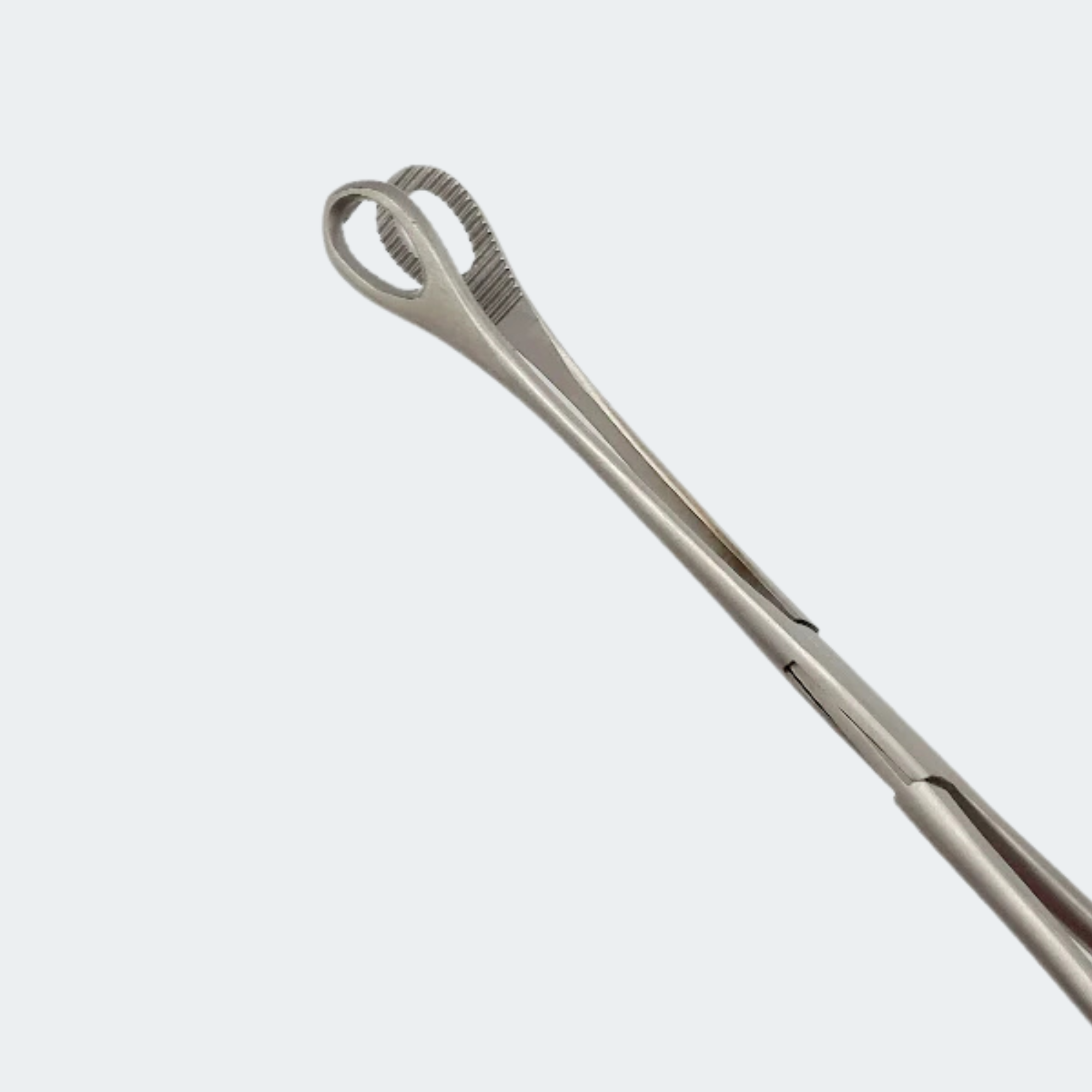 Forceps Sponge 9.5"  Straight, Serrated(1/EA)