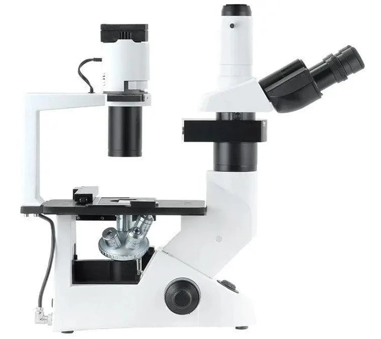 Inverted Microscope for Cell and Culture Analysis