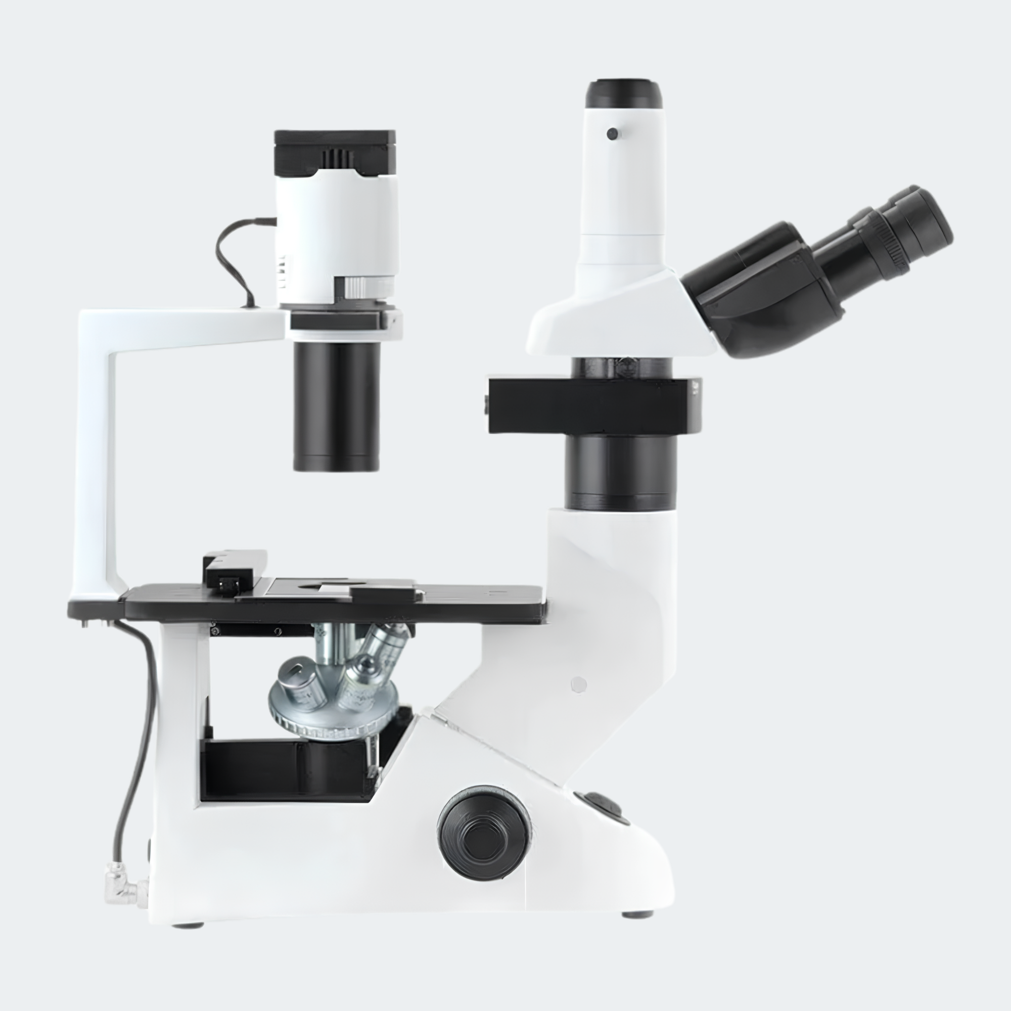 Inverted Microscope for Cell and Culture Analysis
