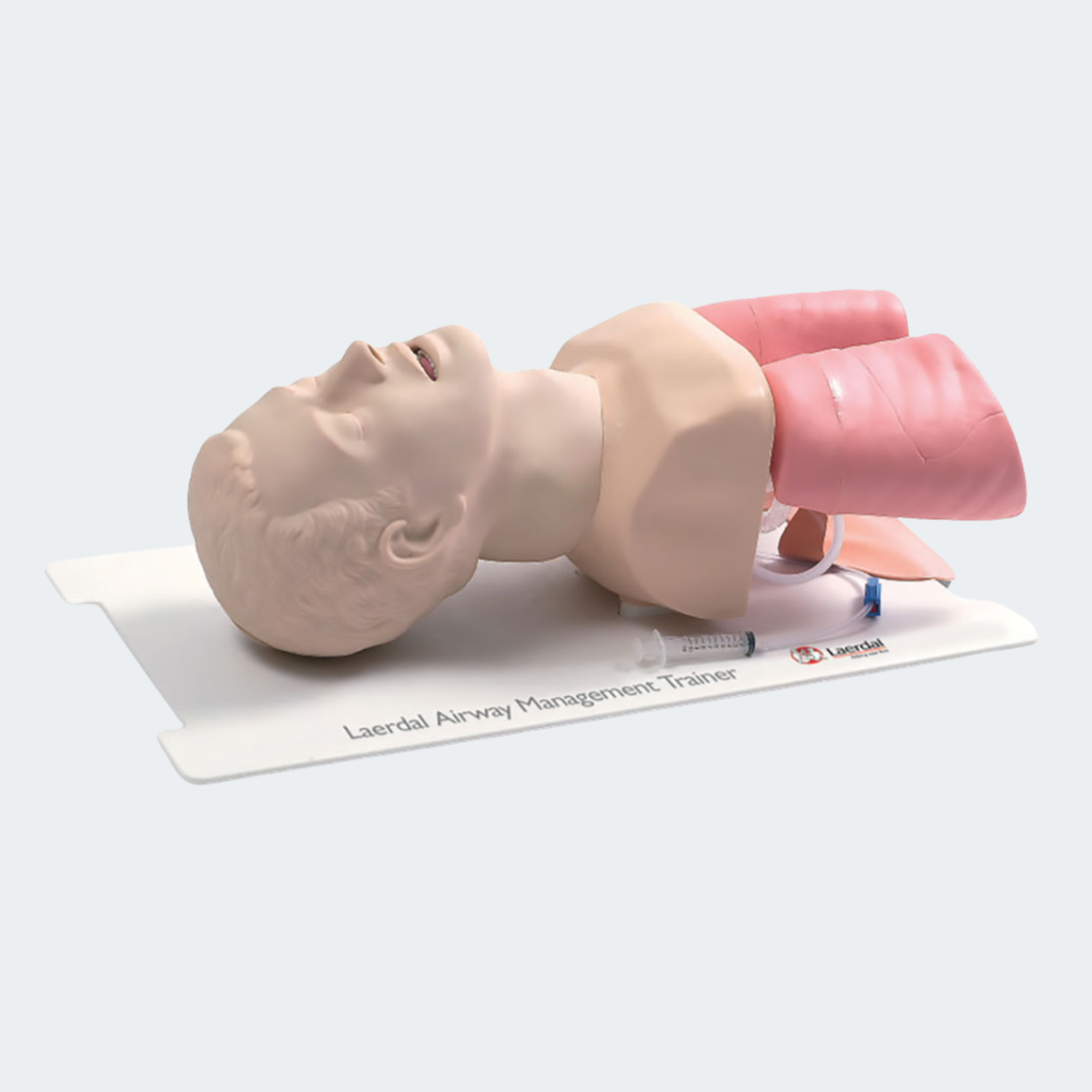 Laerdal Airway Management Trainer