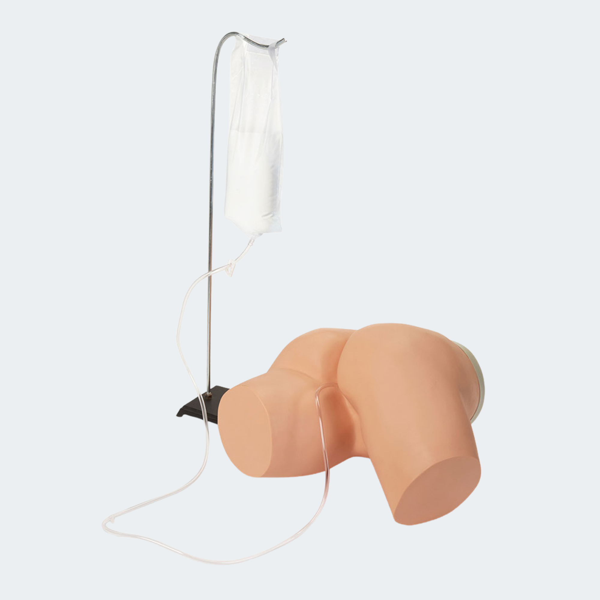 Life/form Enema Administration Simulator Part #: LF00957U
