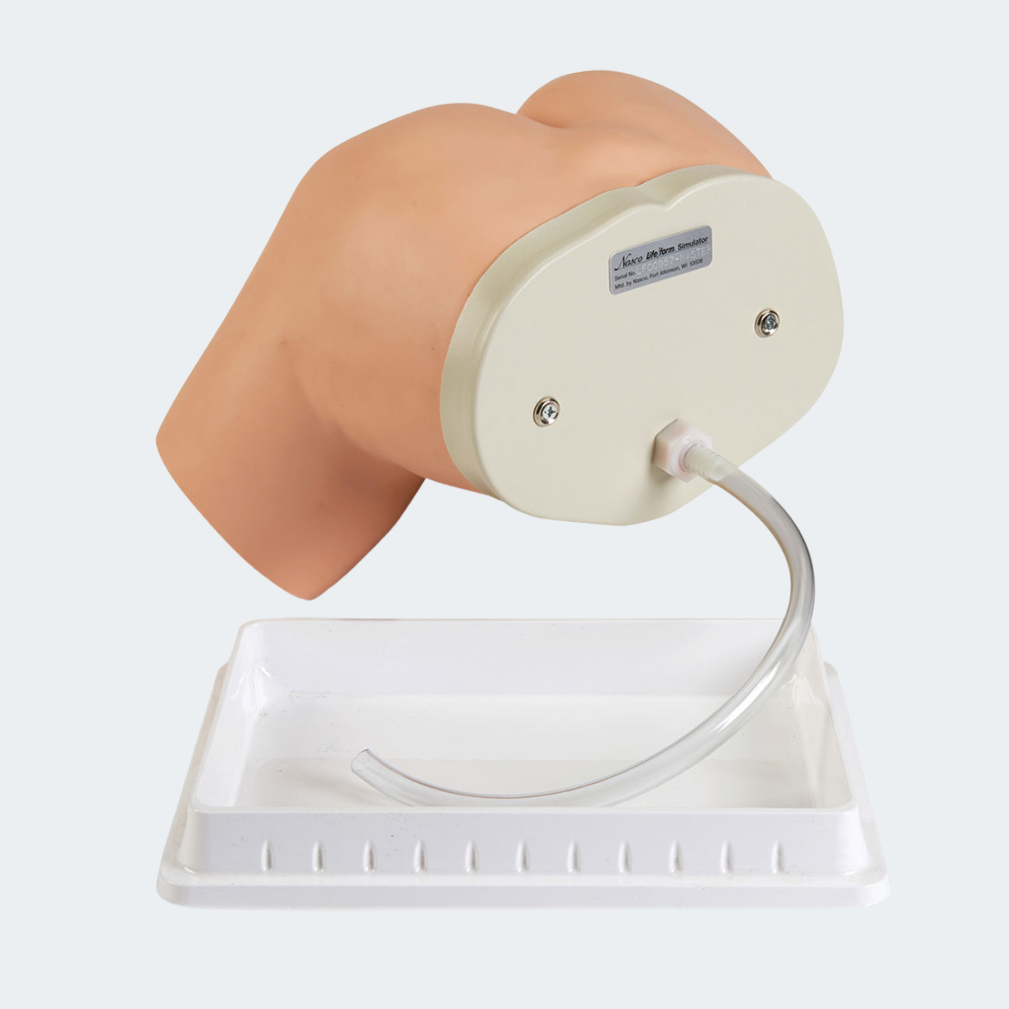 Life/form Enema Administration Simulator Part #: LF00957U