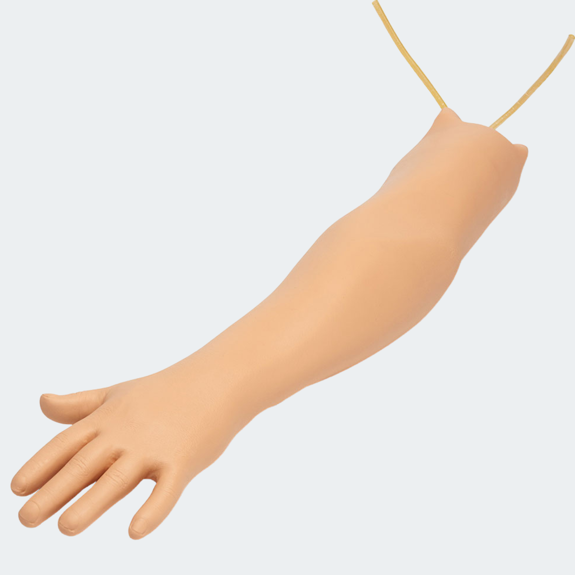 Life/form Hemodialysis Practice Arm Part #: LF01037U