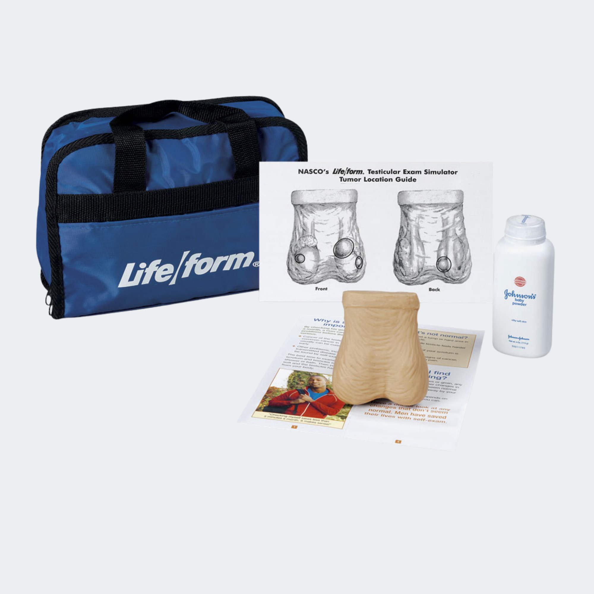 Life/form Testicular Self Exam Simulator Part #: LF01143U