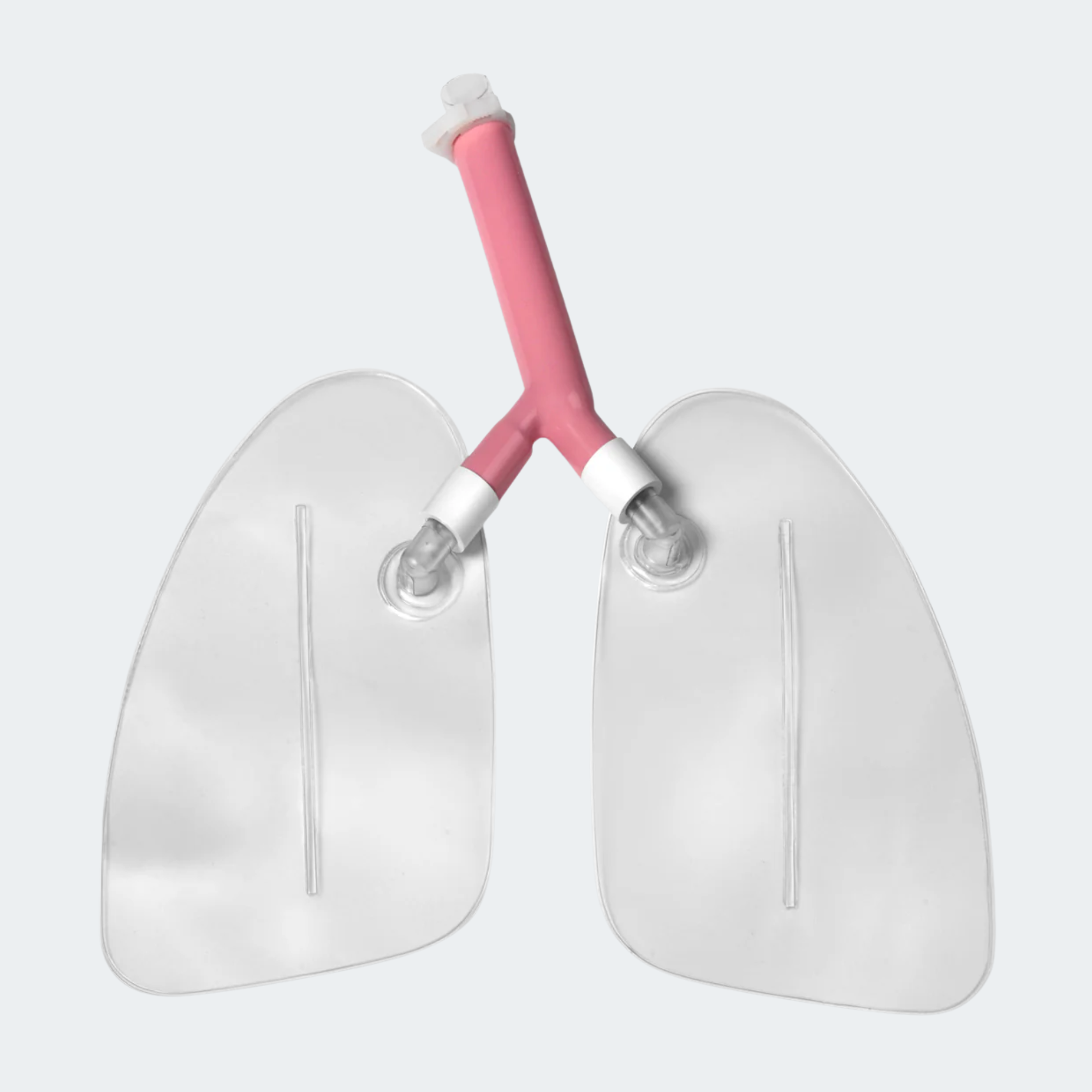 SKU: LF03605  Replacement Lungs for Life/form® "Airway Larry" Airway Management Trainer Manikins