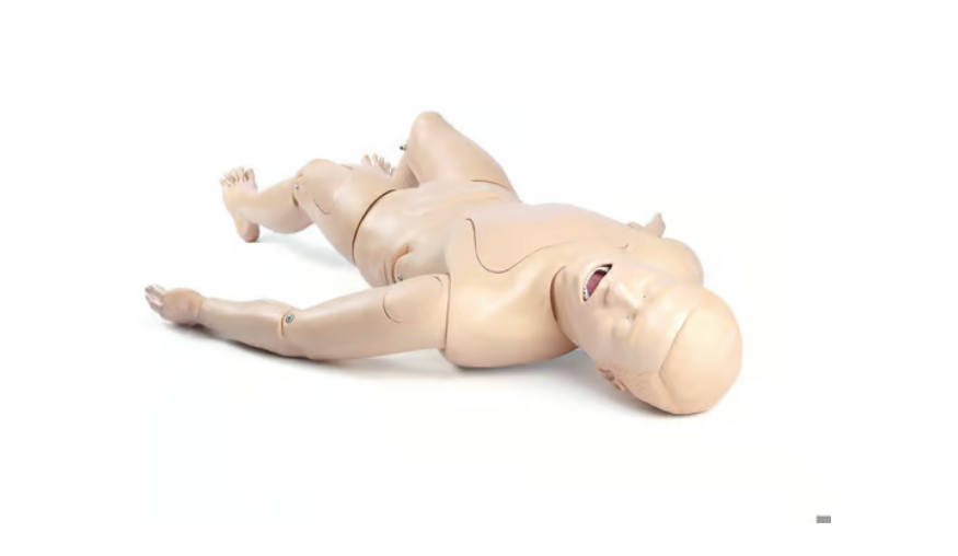 Laerdal Crash Kelly Extrication Manikin