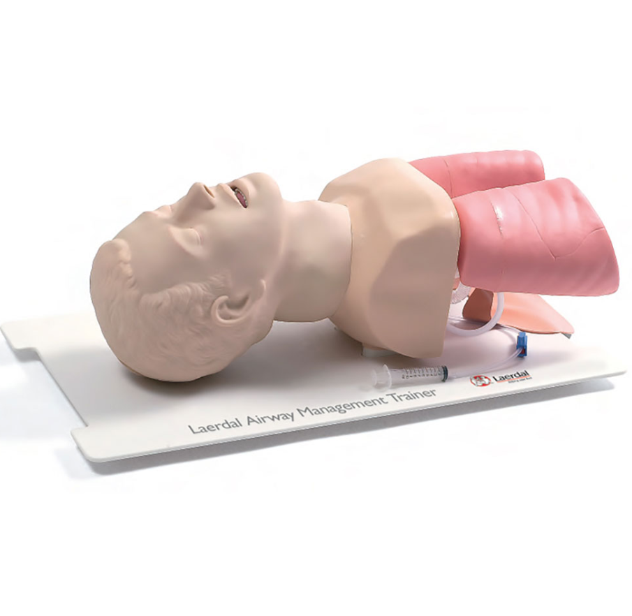 Laerdal Airway Management Trainer