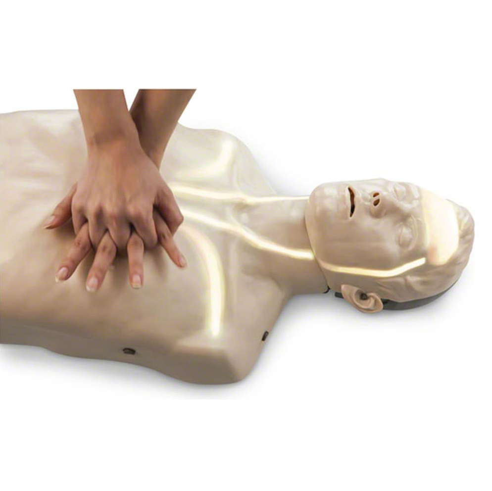 Brayden CPR Training Manikin SKU:SB50941U