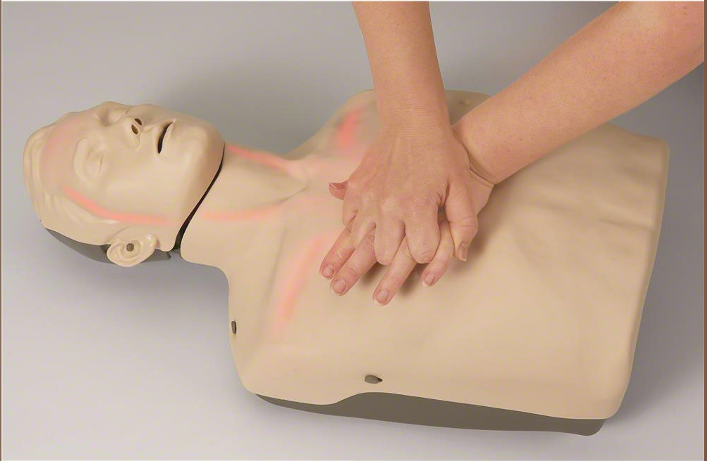 Brayden CPR Training Manikin SKU:SB51965U