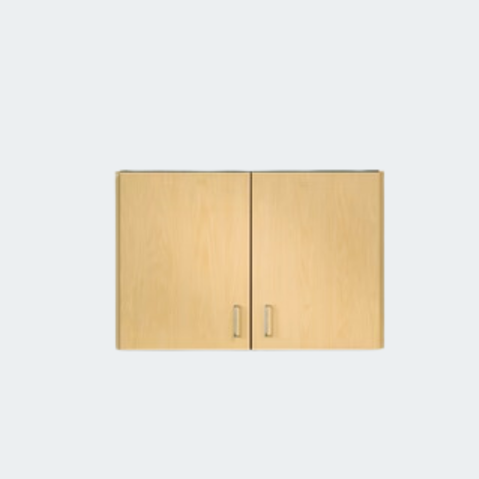 Wall Cabinet w/2 Doors
